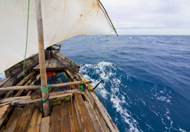 Deep Sea Fishing