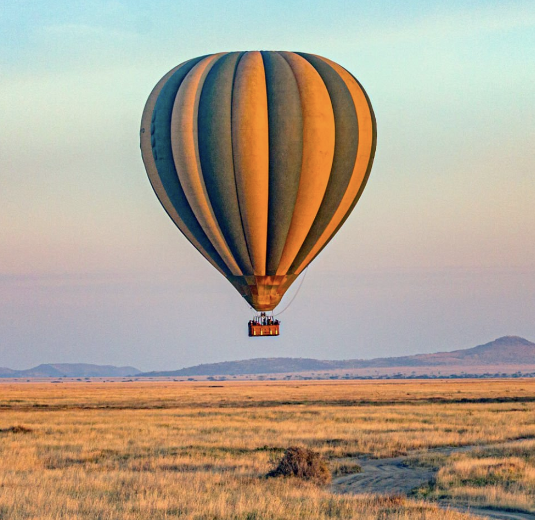 Serengeti National Park wildlife