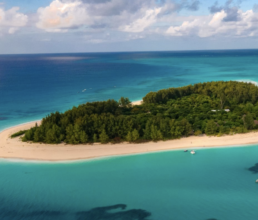 Mnemba Island